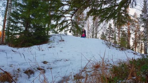 Pai e filha andando de trenó de neve na floresta de inverno, ângulo baixo estático