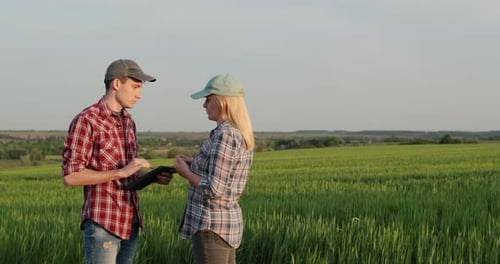 Farmers Using Tablet in Green Crop Field