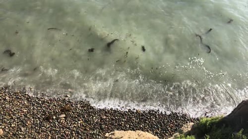 Slow Motion Clip. Daylight Sea Waves on the beach. Tilt down of waves hitting the beach with stones,