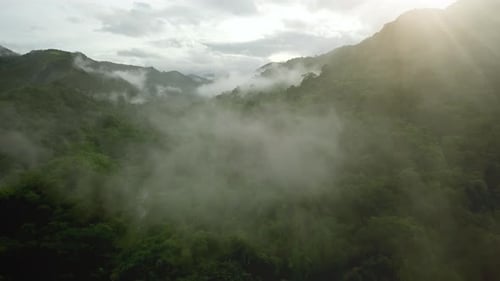 Vista aérea de la exuberante montaña verde de la selva tropical 09