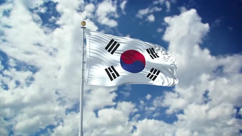 Korea South Realistic Waving 4k