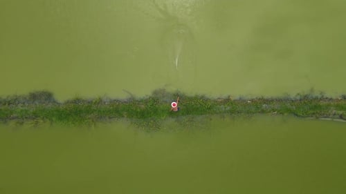 Amidst the serene waters and peaceful surroundings, a pond fisherman patiently waits for his catch,