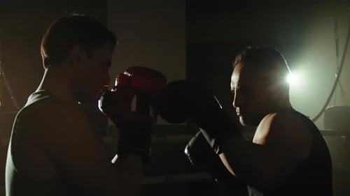 Fight Boxing in the Ring Gym