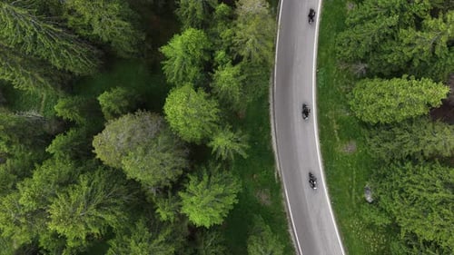 Scenic Ride Along Winding Road Through Lush Green Forest in Summer
