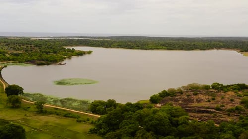 A Lake in the Middle of the Jungle in Sri Lanka