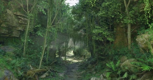 Lush Green Forest Landscape in a Serene Natural Setting During Daylight