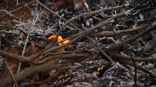 Flammen entzünden sich in einem Haufen trockener Blätter und Zweige