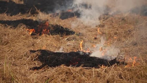Fire burning dried bushes from different parts smoke effect