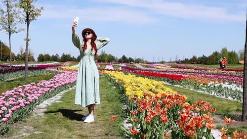 Woman Takes Selfie in Colorful Spring Tulip Field