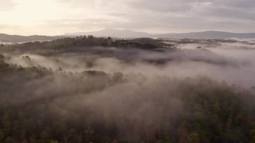 Aerial view of foggy sunrise over villa and cypress trees, Italy.