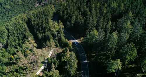 Drone Flies Over Woodland Following White Car Driving on Mountain Road on Travel