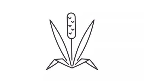 Minimalist Swaying Cattail Plant Icon Animation