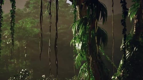 Dense Green Forest With Abundant Trees