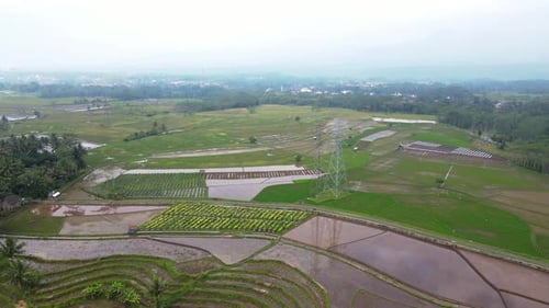 Drone shot of high voltage electricity tower on the middle of rice field