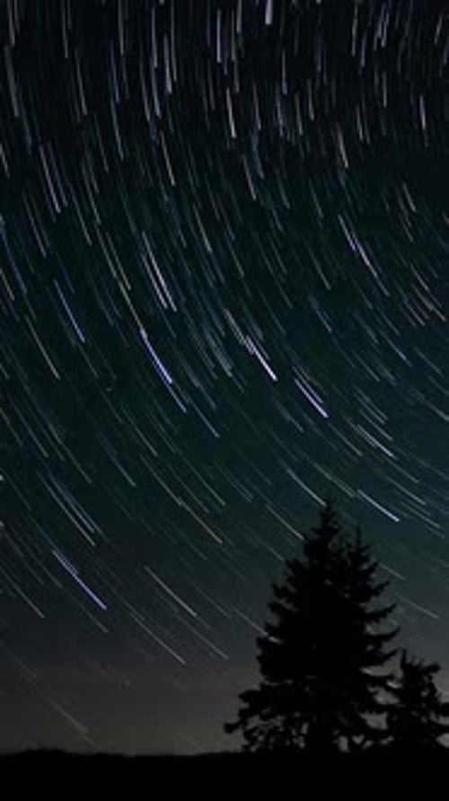 Night Star Trails Time Lapse Above Trees