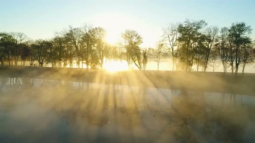 Foggy Sunrise Over Park Alley By the Lake