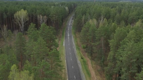 Luftaufnahme der Straße durch die Frühlings-Mischwaldlandschaft, Ansicht von oben und Flug über der alten Landstraße