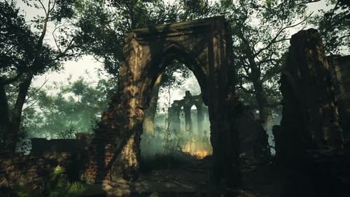 Ancient Castle Ruins in Dense Woods