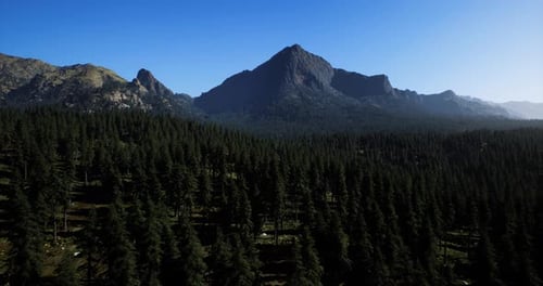 Majestic Mountain Landscape with Dense Forest Under Clear Blue Sky