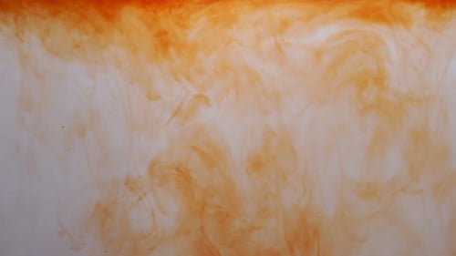 Tea Leaves Dissolving in Water