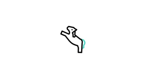 Horse Animated Icon