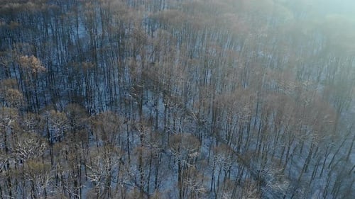 Nature and outdoor cinematic drone footage of winter landscape. Beautiful sunset