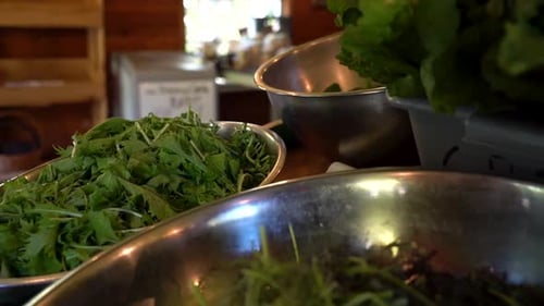 Différents légumes verts sont placés dans des bols.