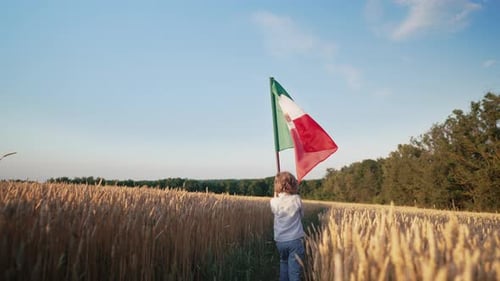Niño mexicano caminando por un campo de trigo dorado con la bandera nacional de México