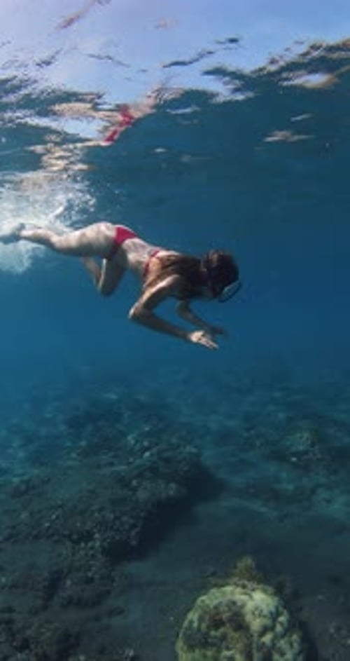 Sexy Slim Woman Swims Undersea in Tropical Blue Ocean Vertical Shot