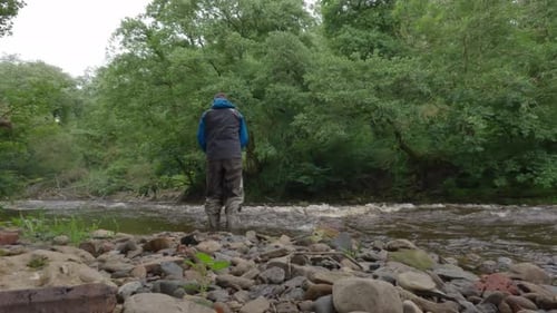 Static shot of a fisherman wading and fly fishing a small fast river