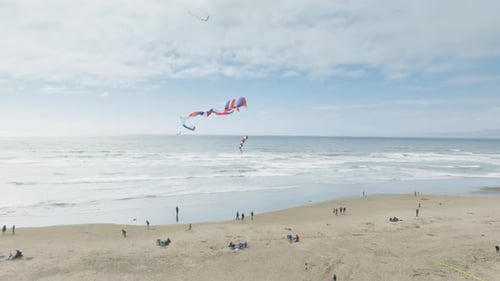 Amazing Kite Festival Beautiful Weekend Day at Morro Bay Pacific Ocean Beach