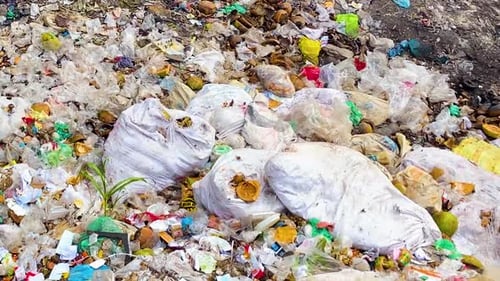 Pile of mixed garbage, with plastic bags, food waste, and assorted trash. Close-up view