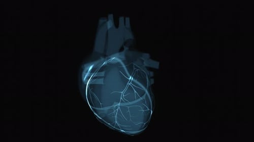 Abstract animation of a heart in xray
