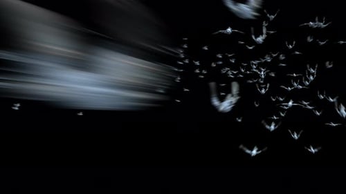 Animated Flock of White Birds Flying Through Scene