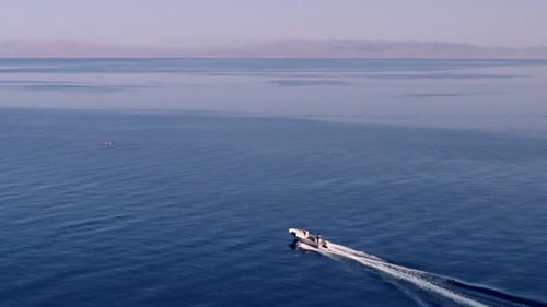 Colourful Tropical Coral Reefs. Picture of beautiful underwater colourful fishes and corals in the t