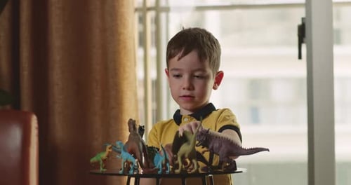 Boy Playing with Toy Dinosaurs Indoors