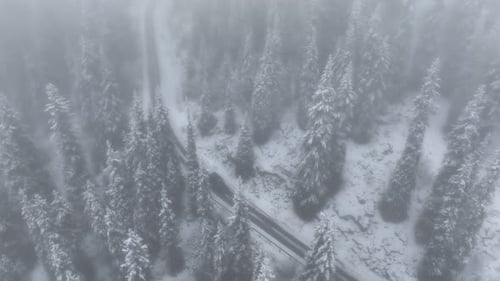 Snowy Mountain Road Winding Through Foggy Forest