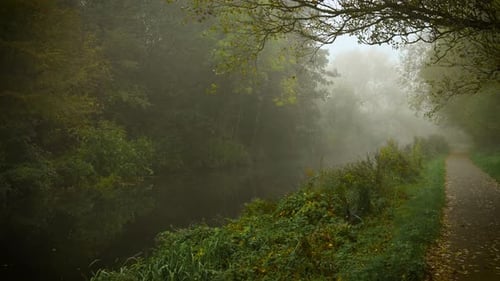 Fog Covering Forest River Path Creating Calm Mysterious Mood Morning Fog Covering Quiet Forest Path