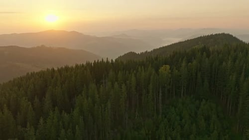 Forest Nature Mountains Dawn Sunrise Landscape Morning Beautiful