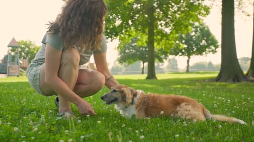 Girl petting dog. Dog laying down in green grass at beautiful outdoor park.