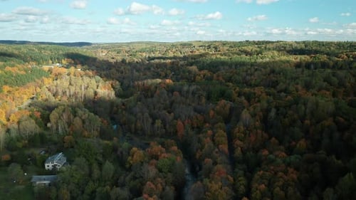 AERIAL: sunny weather in the autumn forest
