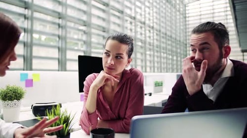 Group of Young Businesspeople Working Together in Office, Talking