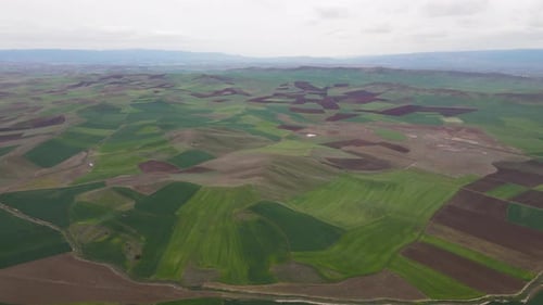 Agricultural Lands