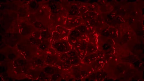 Abstract Organic Red Liquid Cells Looping Motion Background