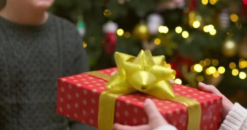 Hands of Parent Giving Christmas Gift to Child on Christmas Tree Background