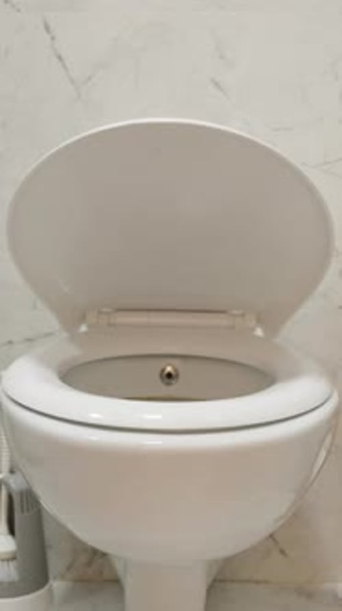 Vertical video. Pristine Toilet, I Lower the Lid, and It Closes Slowly, Equipped with a Soft-Close.