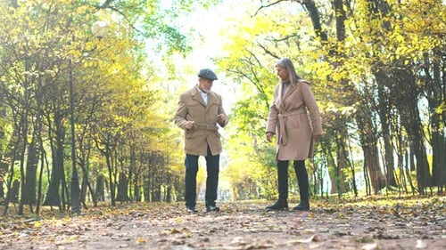 Happy Senior Greyhaired Elegant Man Happily Dancing with Beautiful Cheerful Stylish Mature Woman in