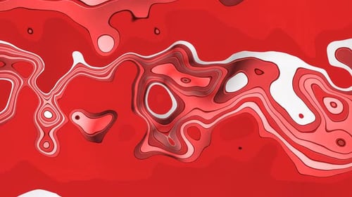 Abstract Red White Flowing Contours Morphing Motion Background