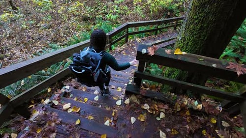 Mother Hiking Down Stairs with Baby in Backpack Carrier Fall Season Lynn Valley BC Canada