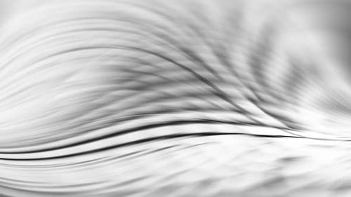 Elegant Abstract Wavy Lines Motion Background